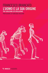 L'uomo e la sua origine. Tra creazione ed evoluzione