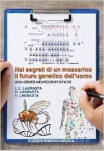 Nei segreti di un moscerino il futuro genetico dell'uomo