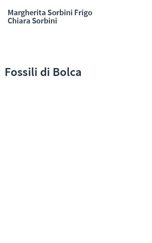 Fossili di Bolca