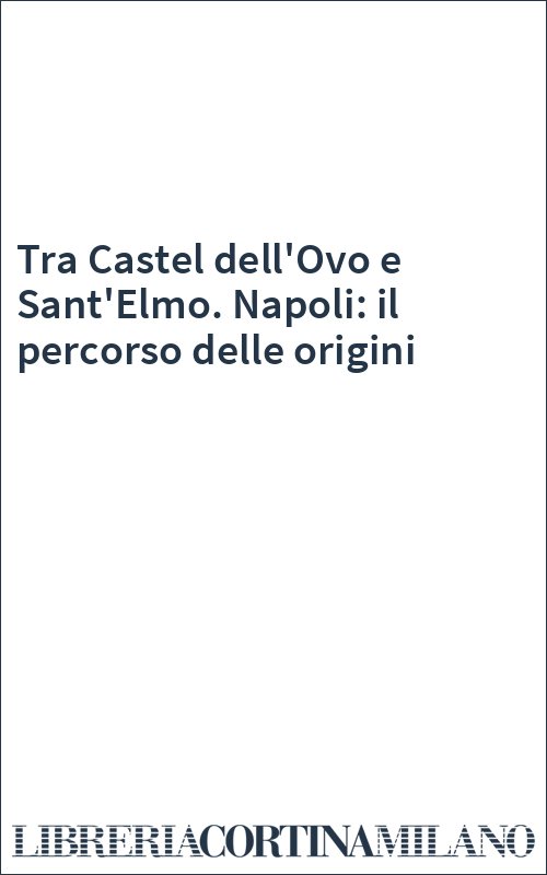 Tra Castel dell'Ovo e Sant'Elmo. Napoli: il percorso delle origini