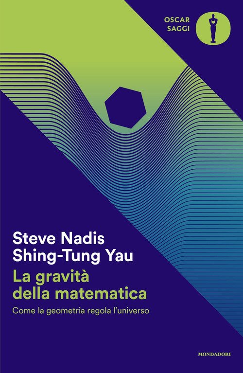 La gravità della matematica. Come la geometria regola l'universo
