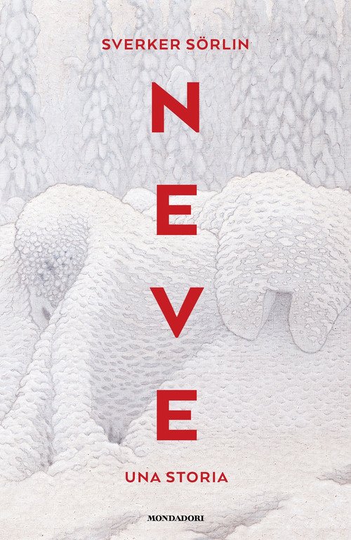 Neve. Una storia