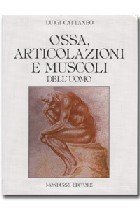 Ossa. Articolazioni e muscoli dell'uomo