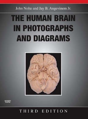 The Human Brain in Photographs and Diagrams