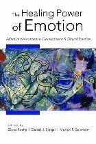 Healing power of emotion (The)