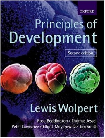 Principles of development