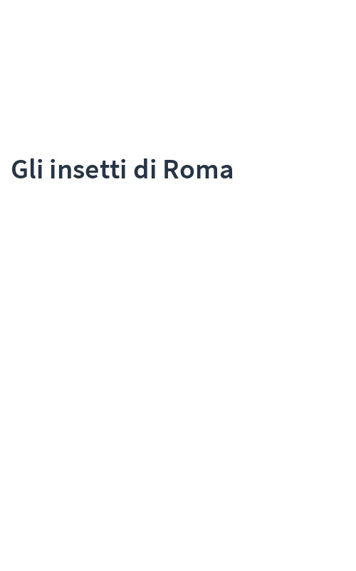 Gli insetti di Roma