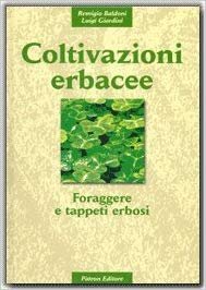 Coltivazioni erbacee