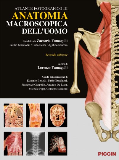 Atlante fotografico di anatomia macroscopica dell'uomo