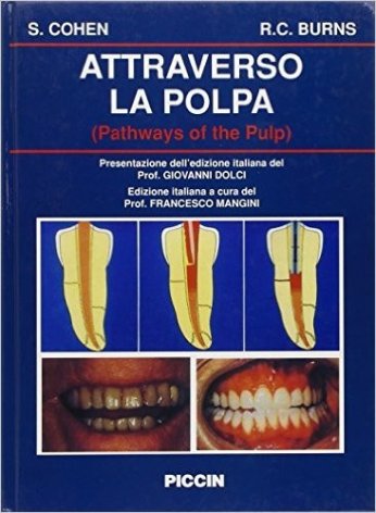 Attraverso la polpa