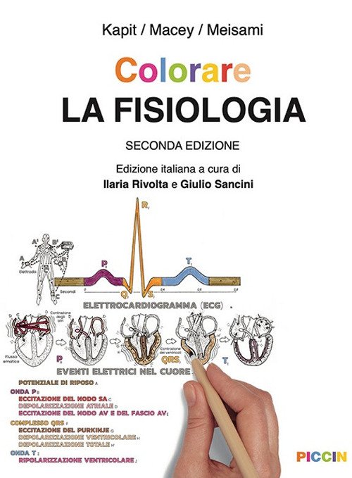 Colorare la fisiologia