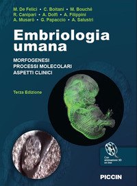 Embriologia umana. Morfogenesi, processi molecolari, aspetti clinici
