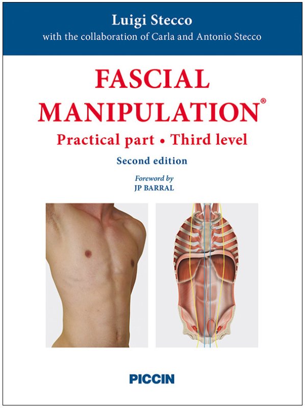 Fascial manipulation. Practical part. third level