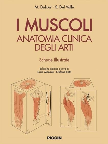 I Muscoli Anatomia Clinica degli Arti.Schede Illustrate
