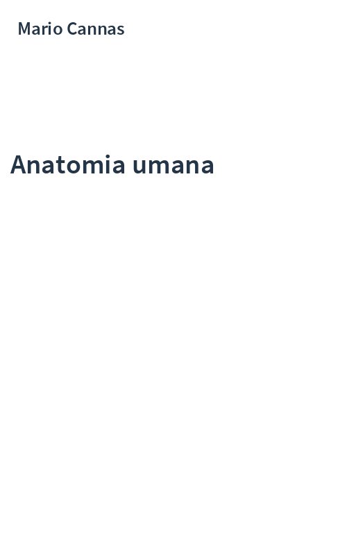 Anatomia umana