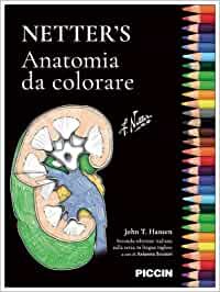 Netter's. Anatomia da colorare
