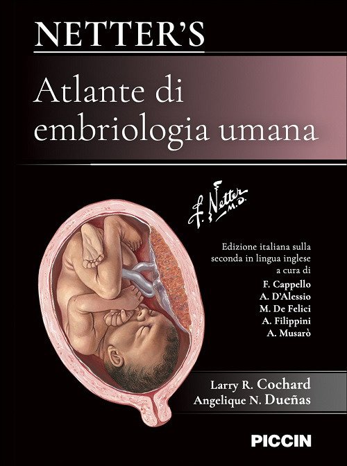 Netter's atlante di embriologia umana