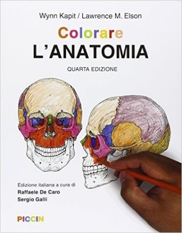 Colorare l'anatomia