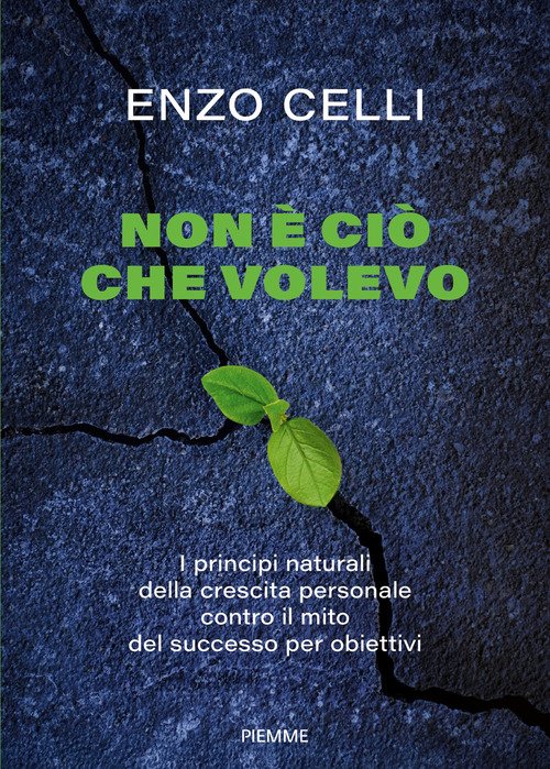 Non è ciò che volevo. I principi naturali della crescita personale contro il mito del successo per obiettivi