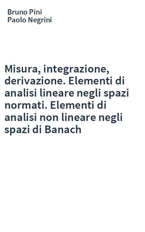Misura, integrazione, derivazione. Elementi di analisi lineare negli spazi normati. Elementi di analisi non lineare negli spazi di Banach