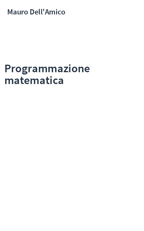 Programmazione matematica