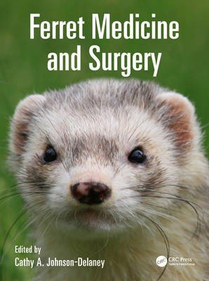Ferret Medicine and Surgery