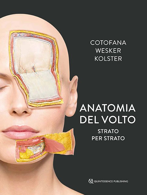 Anatomia del volto. Strato per strato