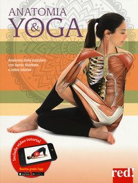Anatomia & yoga