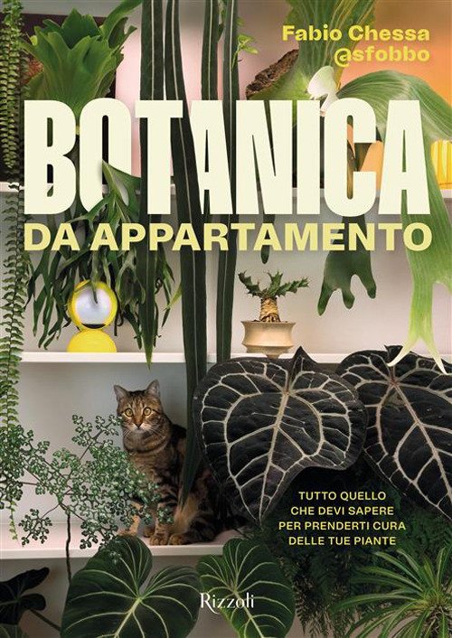 Botanica da appartamento. Tutto quello che devi sapere per prenderti cura delle tue piante