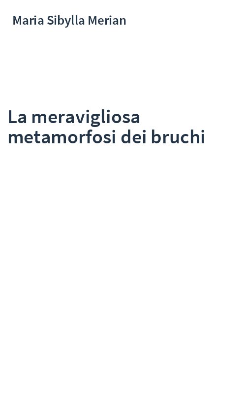 La meravigliosa metamorfosi dei bruchi