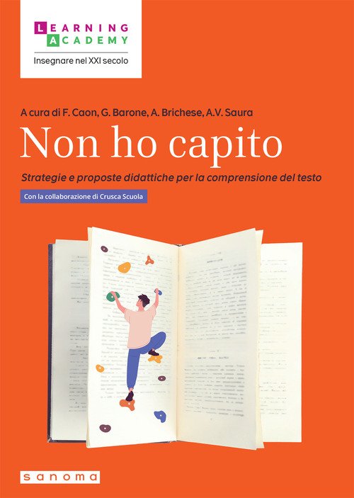 Non ho capito. Strategie e proposte didattiche per la comprensione del testo