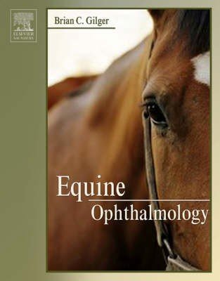 Equine Ophthalmology