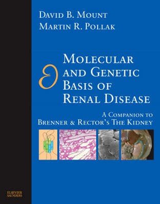 Molecular and Genetic Basis of Renal Disease