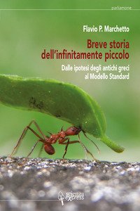 Breve storia dell'infinitamente piccolo