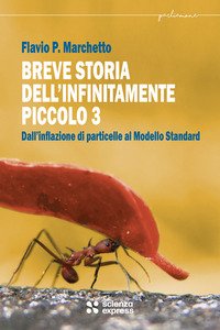 Breve storia dell'infinitamente piccolo
