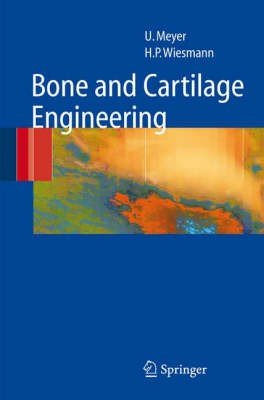 Bone and Cartilage Engineering
