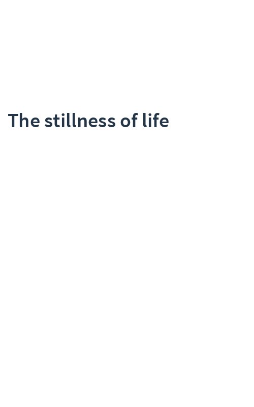 The stillness of life