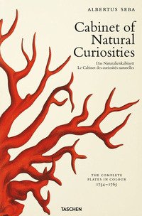 Albertus Seba. Cabinet of natural curiosities. Ediz. inglese, francese e tedesca