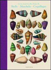 Dezallier, conchology. Ediz. italiana, spagnola e portoghese
