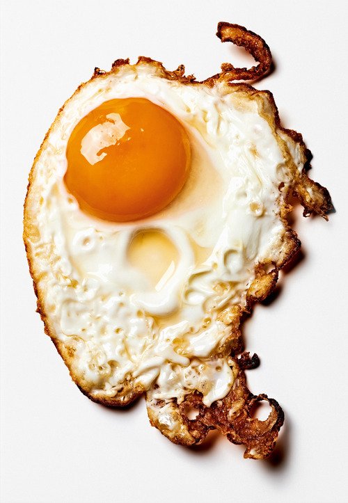 The Gourmand's egg. A collection of stories and recipes. Ediz. inglese