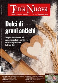 Terra nuova