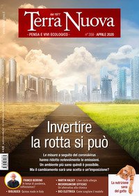 Terra nuova