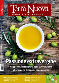 Terra nuova