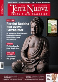 Terra nuova