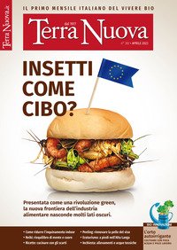 Terra nuova