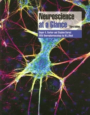 Neuroscience at a Glance