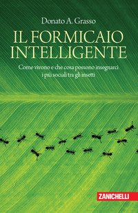 Il formicaio intelligente. Come vivono e che cosa possono insegnarci i più sociali tra gli insetti
