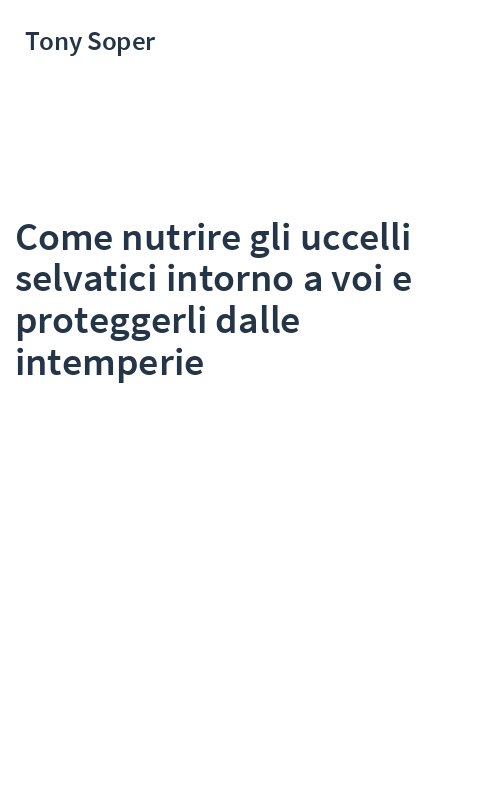 Come nutrire gli uccelli selvatici intorno a voi e proteggerli dalle intemperie