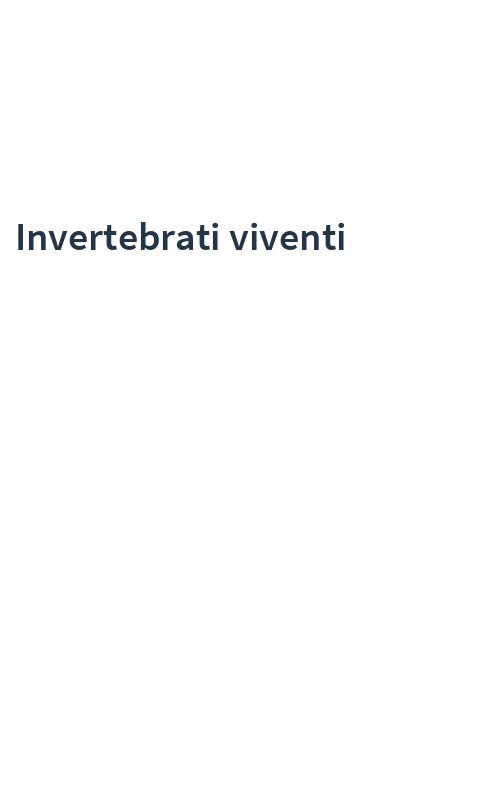 Invertebrati viventi