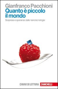 Quanto è piccolo il mondo. Sorprese e speranze dalle nanotecnologie